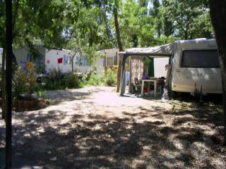 camping hyeres ombragé